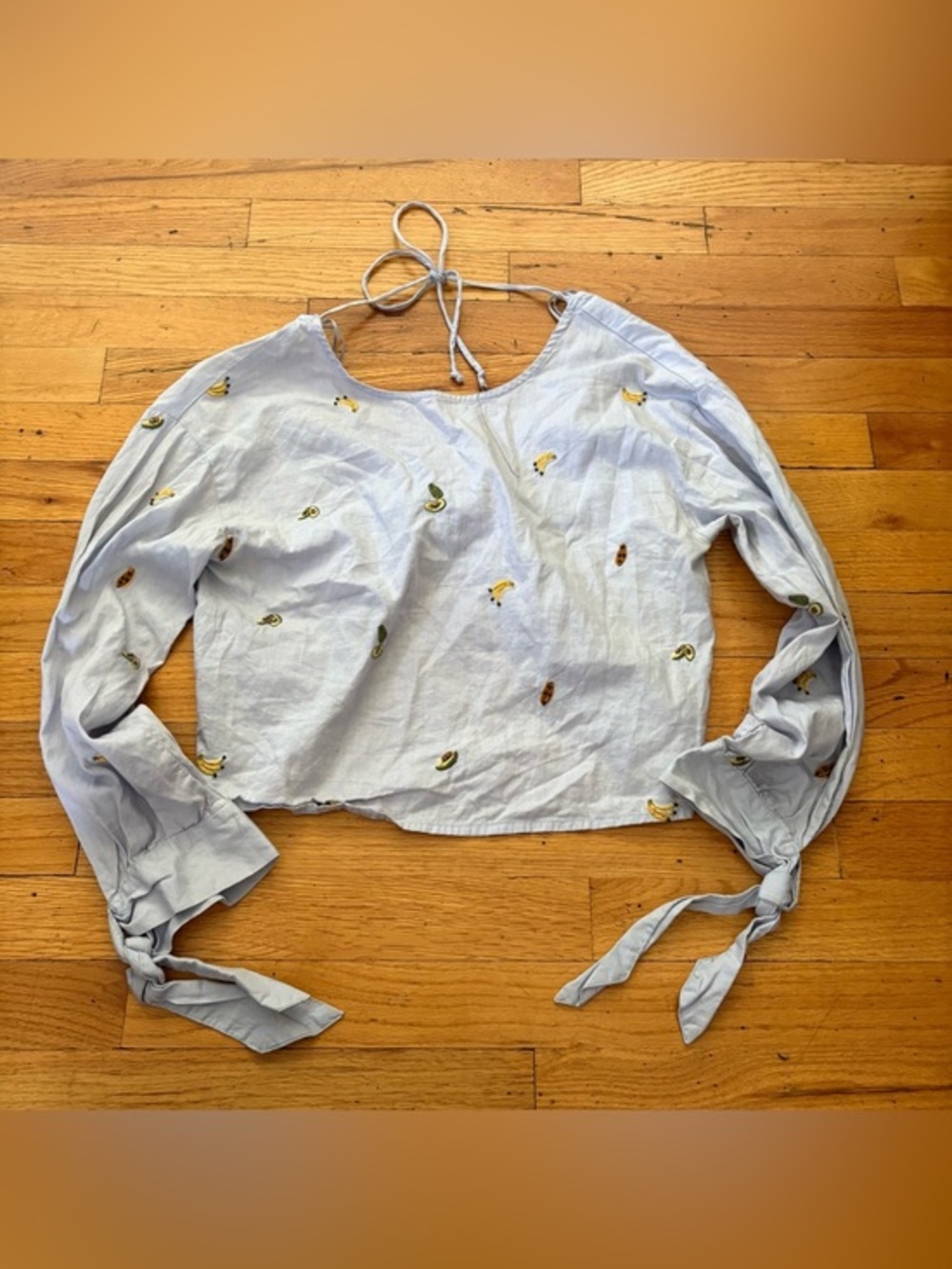 Zara Blue Embroidered Fruit Open Back Crop Top XS Beaded Detail